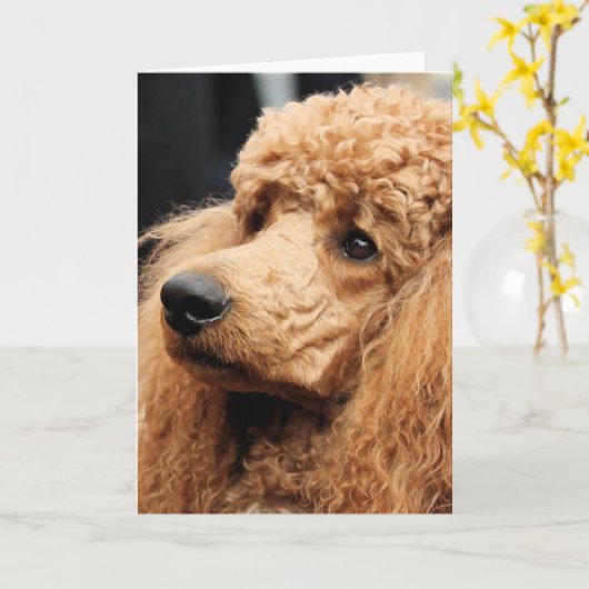 Pudel-Tag 2010 #19 Karte (Gelbe Blume)