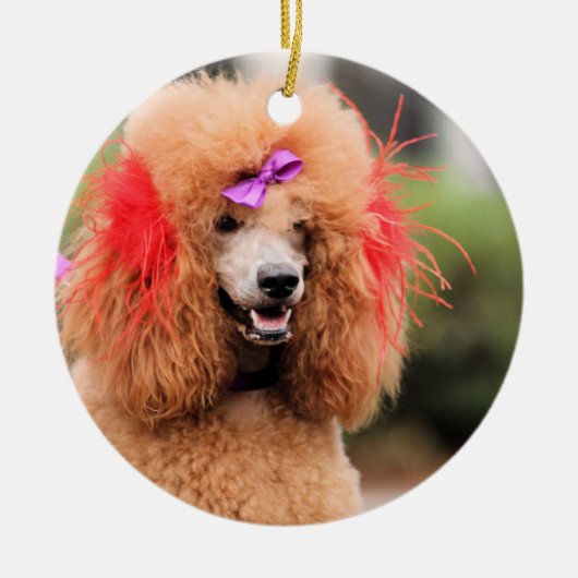 Pudel-Tag 2010 #1 Keramikornament (Vorne)