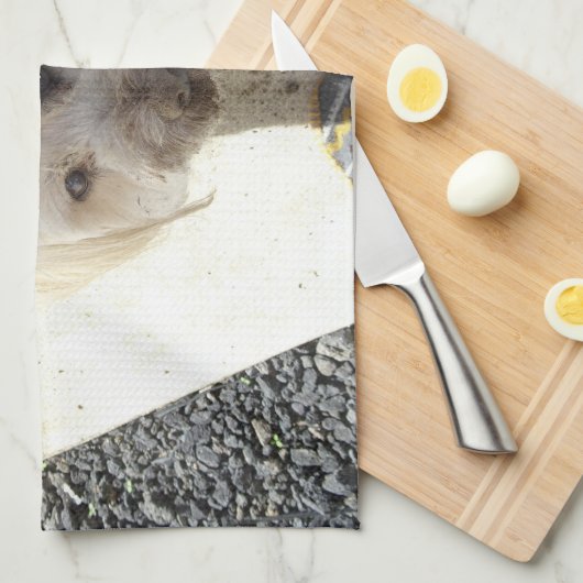 Pudel-Terrier Mischung mit schmutzigem Gesicht Geschirrtuch (Viertel Falte)