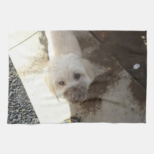 Pudel-Terrier Mischung mit schmutzigem Gesicht Geschirrtuch (Horizontal)