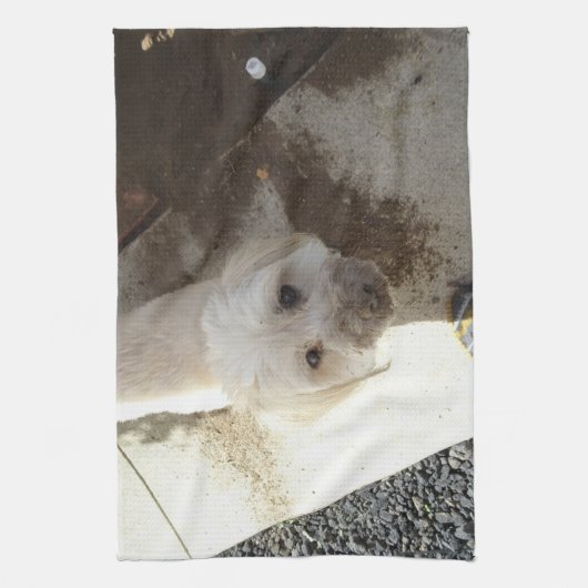 Pudel-Terrier Mischung mit schmutzigem Gesicht Geschirrtuch (Vertikal)