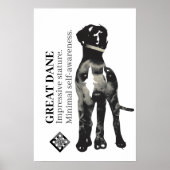 Pudel und Dogge Poster (Vorne)
