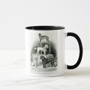 Pudel und Whippet - Gruppe von Herrn Waltons Tasse