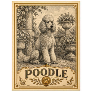 Pudel, Vintage Heritage Hund Postkarte