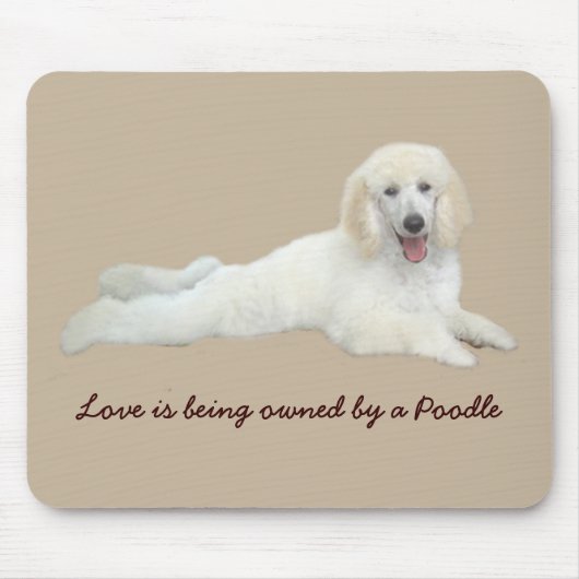 Pudel weißes schönes Mousepad (Vorne)