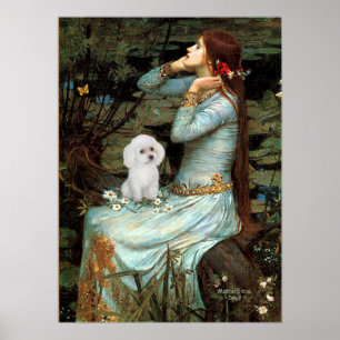 Pudel (weißes Spielzeug) - Ophelia sitzend Poster