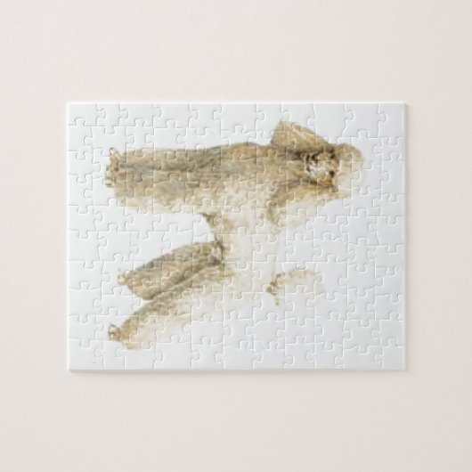 Pudel -- Welpen-Klipp Puzzle (Horizontal)