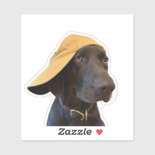 Pudelpointer Dog Vinyl Sticker (Blatt)