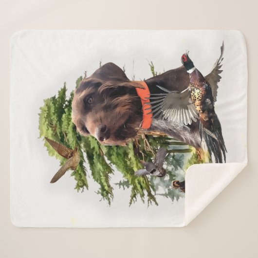 Pudelpoker Sherpadecke (Vorderseite (Horizontal))