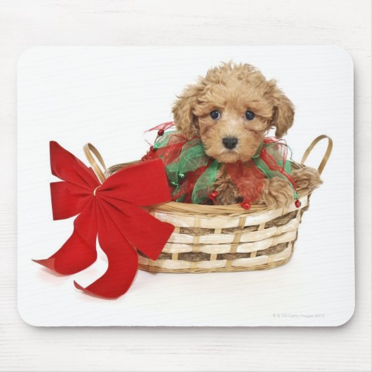 Pudelwelpe, der im Weihnachtskorb sitzt Mousepad (Vorne)