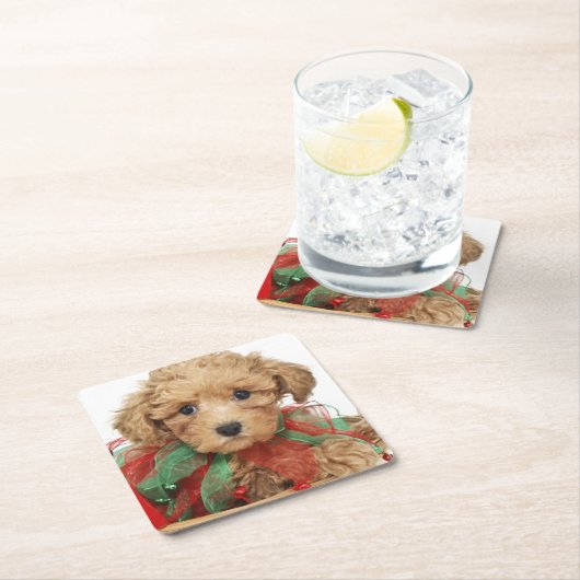 Pudelwelpe, der im Weihnachtskorb sitzt Rechteckiger Pappuntersetzer (Vor Ort)