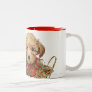 Pudelwelpe, der im Weihnachtskorb sitzt Zweifarbige Tasse