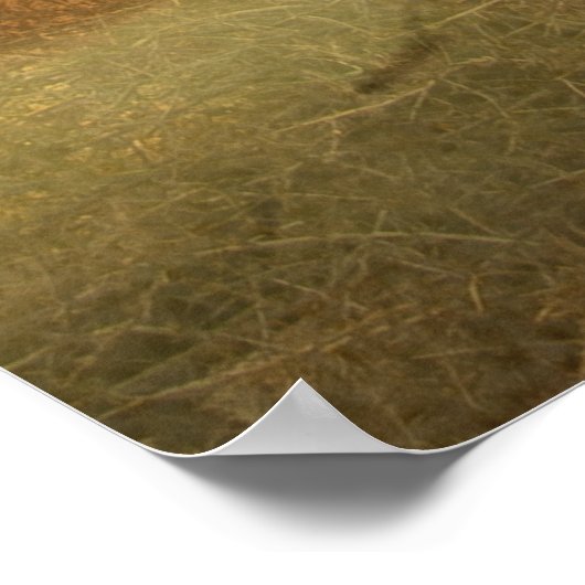 Pudelzeigen, Jagdfasan Poster (Ecke)