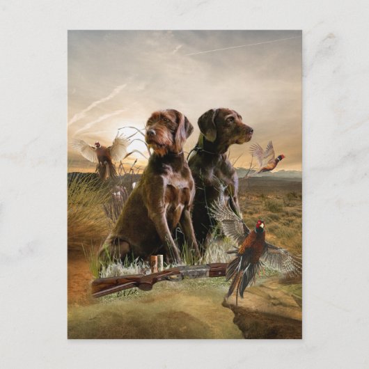Pudelzeigen, Jagdfasan Postkarte (Vorderseite)