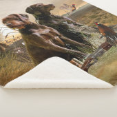 Pudelzeigen, Jagdfasan Sherpadecke (3/4)