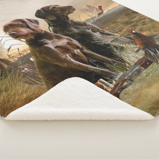 Pudelzeigen, Jagdfasan Sherpadecke (3/4)