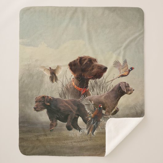 Pudelzeigen, Jagdfasan Sherpadecke (Vorderseite)