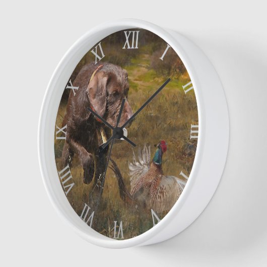 Pudelzeigen, Jagdfasan Uhr (Winkel)