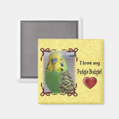 Pudgie Budgie 3 Magnet (Vorderseite/Rückseite)