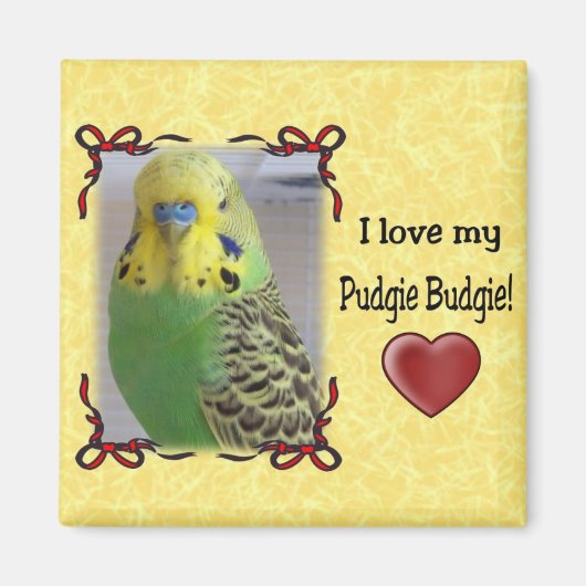 Pudgie Budgie 3 Magnet (Vorne)