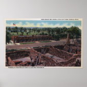 Pueblo, Colorado - Bird House & Animal Poster (Vorne)