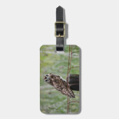 Pueo sitzt auf dem Zaun Gepäckanhänger (Vorderseite vertikal)