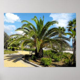Puerto Banus Poster