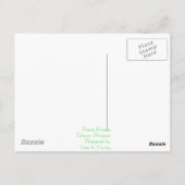 Puerto Princesa Postkarte (Rückseite)