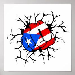 Puerto Rico Flag Cooles Poster