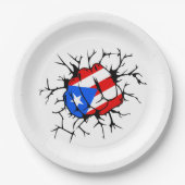 Puerto Rico Flag Pappteller (Vorderseite)