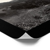 Puerto Rico Flamingo Foto 1914 Poster (Ecke)