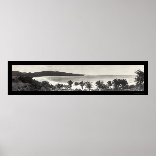 Puerto Rico Flamingo Foto 1914 Poster (Vorne)