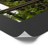 Puerto Rico Green Spanish Architecture Windows Poster (Ecke)