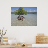 Puerto Rico Illusion Foto Poster (Küche)