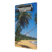 Puerto Rico, Isla Verde, Palmen Mini Klemmbrett (Gewinkelt2)
