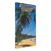 Puerto Rico, Isla Verde, Palmen Mini Klemmbrett (Schrägansicht)