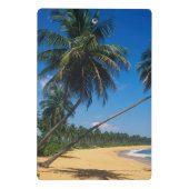 Puerto Rico, Isla Verde, Palmen Mini Klemmbrett (Rückseite)