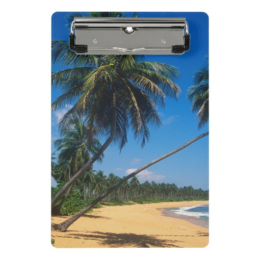 Puerto Rico, Isla Verde, Palmen Mini Klemmbrett (Vorderseite)