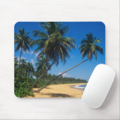 Puerto Rico, Isla Verde, Palmen. Mousepad (Mit Mouse)