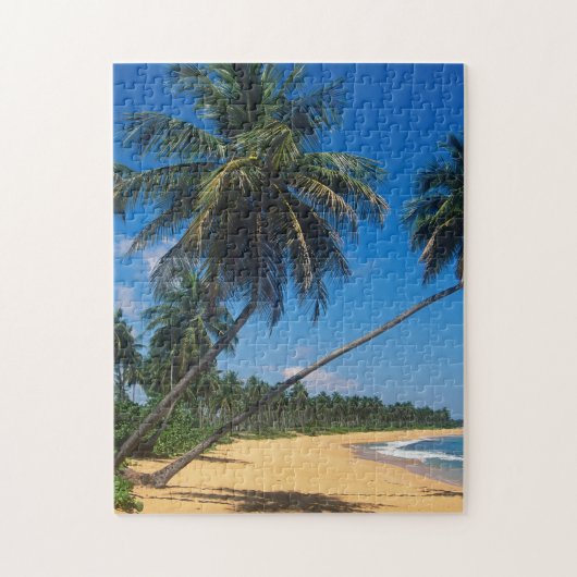 Puerto Rico, Isla Verde, Palmen Puzzle (Vertikal)