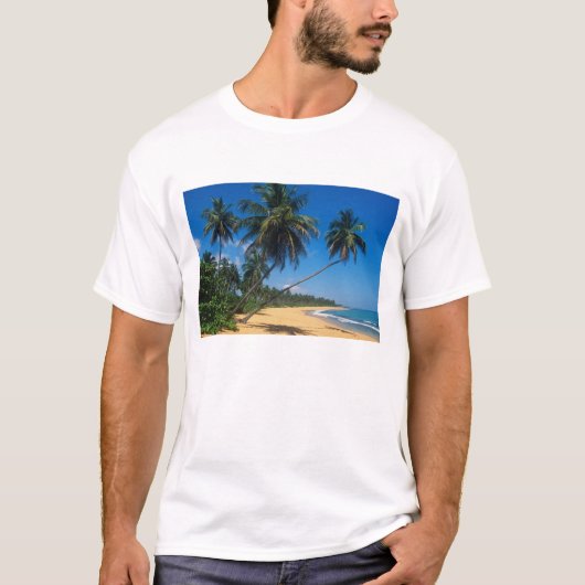 Puerto Rico, Isla Verde, Palmen. T-Shirt (Vorderseite)
