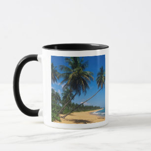 Puerto Rico, Isla Verde, Palmen. Tasse