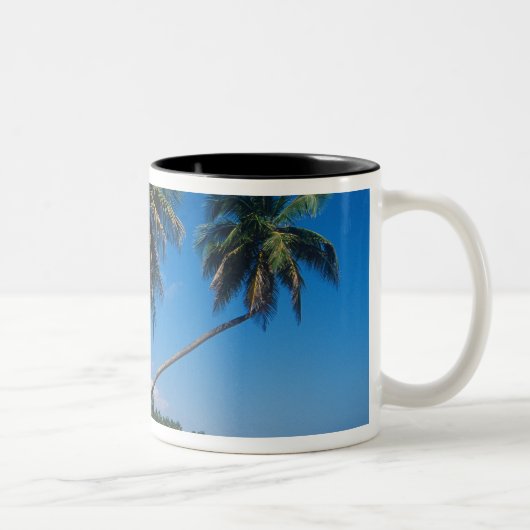 Puerto Rico, Isla Verde, Palmen. Zweifarbige Tasse (Rechts)