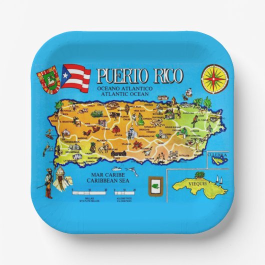 Puerto Rico Länderkarte Pappteller (Vorderseite)