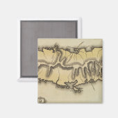 Puerto Rico Magnet (Vorderseite/Rückseite)