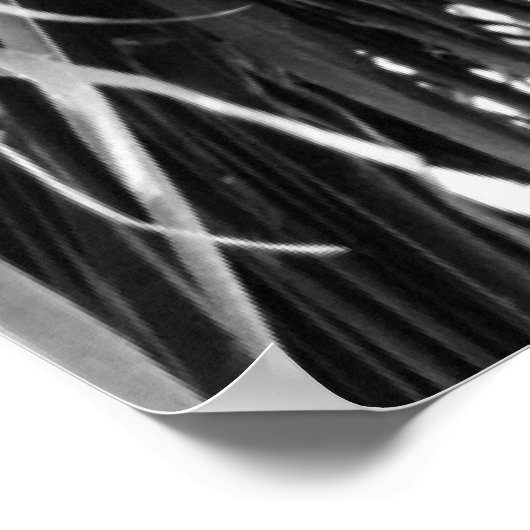 Puerto Rico Palm | Poster (Ecke)