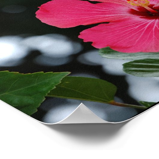 Puerto Rico Poster (Ecke)