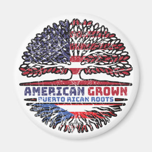 Puerto Rico Puerto Rico USA USA USA USA Magnet