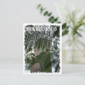 Puerto Rico Rain Forest Postkarte (Stehend Vorderseite)
