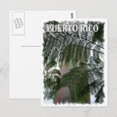 Puerto Rico Rain Forest Postkarte (Vorne/Hinten)